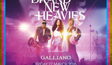 The Brand New Heavies