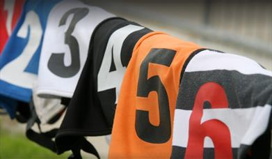 Greyhound Racing at Monmore Green