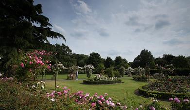 Bantock Park